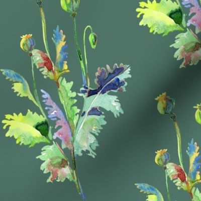 Poppy Seedheads - Watercolour on grey-green