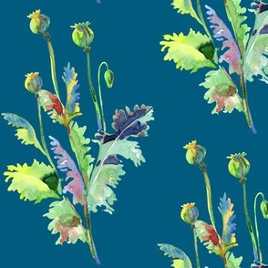 Poppy Seedheads - Watercolour on Sea blue