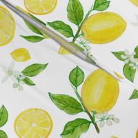 Lemons in Watercolor