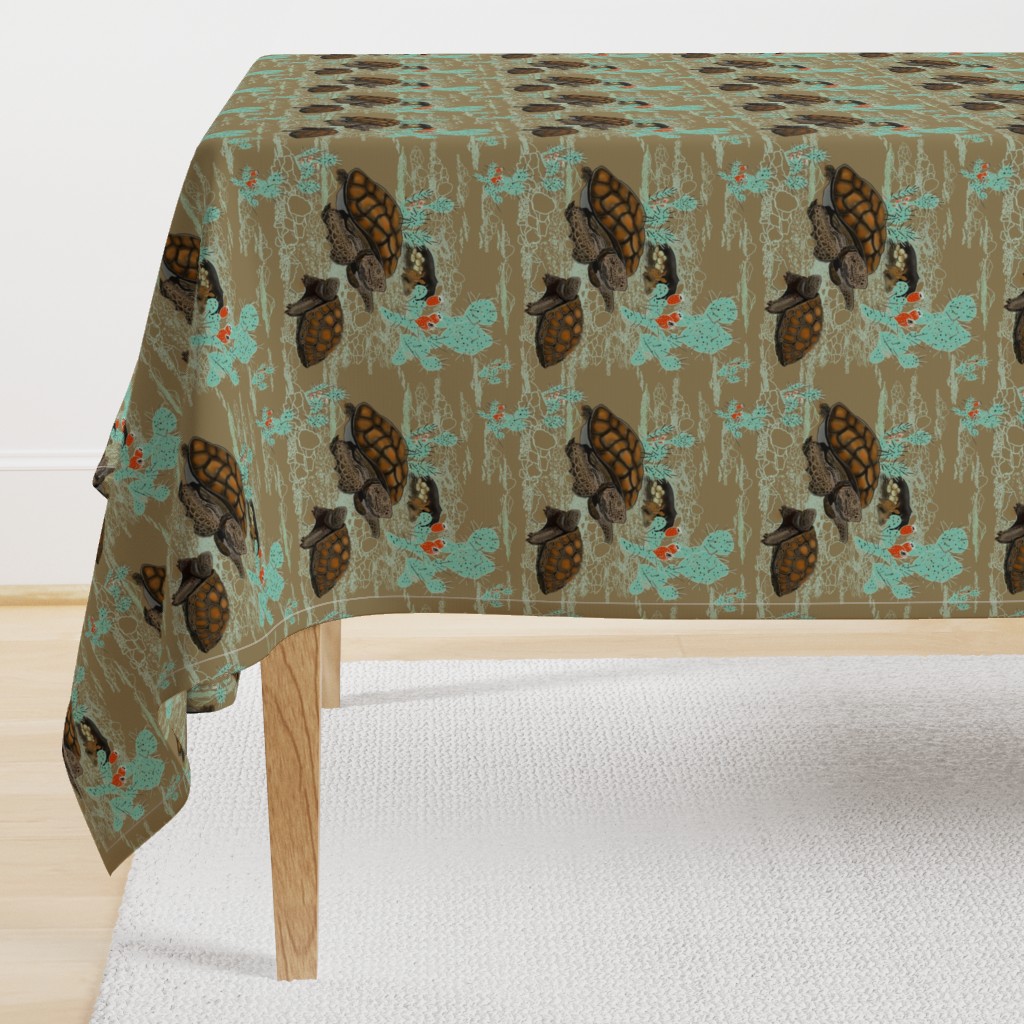 Desert Tortoise in brown and Aqua by Salzanos