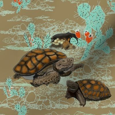 Desert Tortoise in brown and Aqua by Salzanos