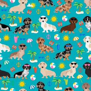 dog beach wallpaper