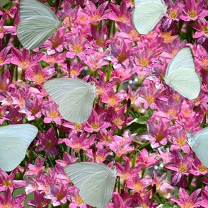 Crocus Patch with Butterflies