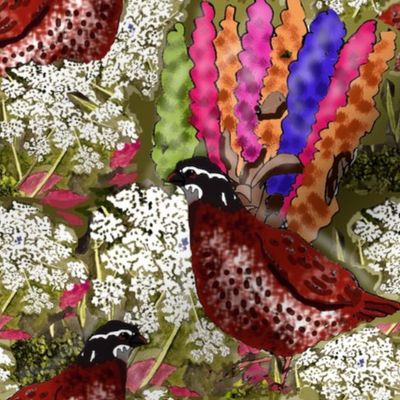 quail_quinoa_queen_annes_lace