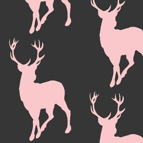 Buck in Pink on black - woodland