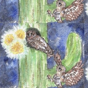 Elf Owl & Saguaro Cactus