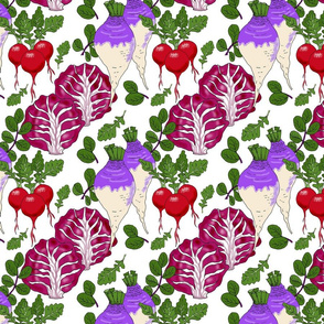 radish_radicchio_rutabaga_8x8