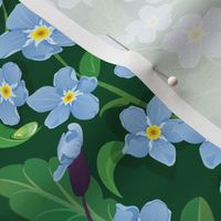 Seamless pattern with beautiful flowers - forget me not - floral nature background.