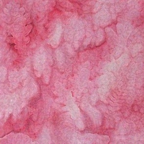 Pink Ginkgo Maple Oak Sunprint