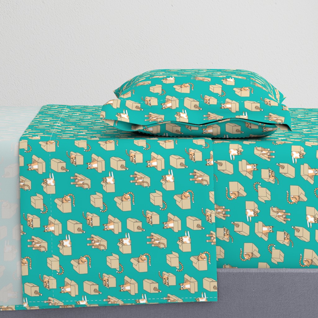 cats in boxes in teal