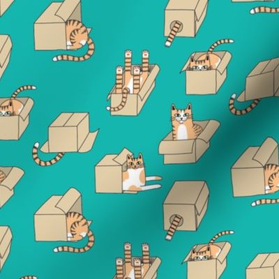 cats in boxes in teal