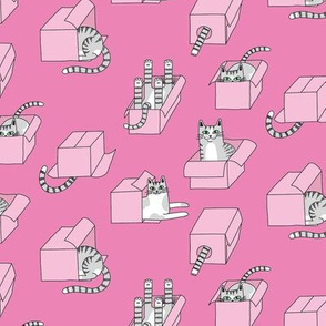 cats in boxes in pink