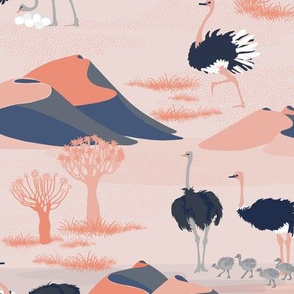 Ostriches Of The Kalahari