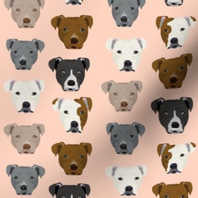 pitbull heads fabric pitbull terrier dog fabrics - blush