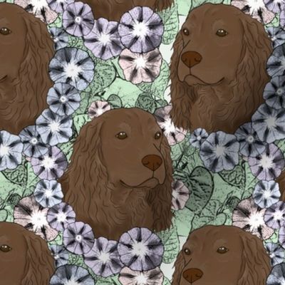 Floral Boykin spaniel portraits