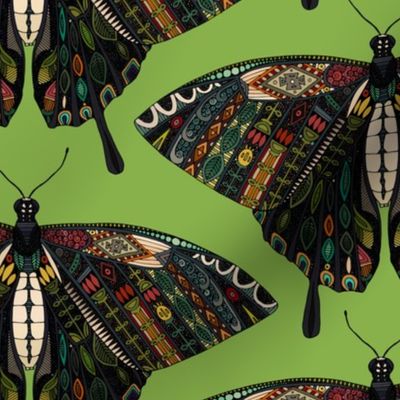 swallowtail butterfly green