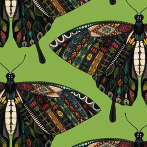 swallowtail butterfly green