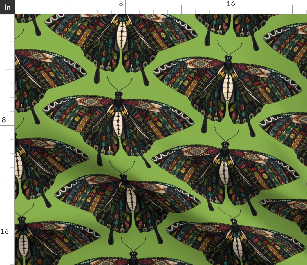 swallowtail butterfly green