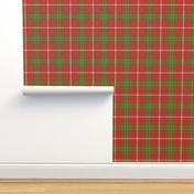 Hay / Hayes tartan, 6" bright, 1842 Vestiarium Scoticum