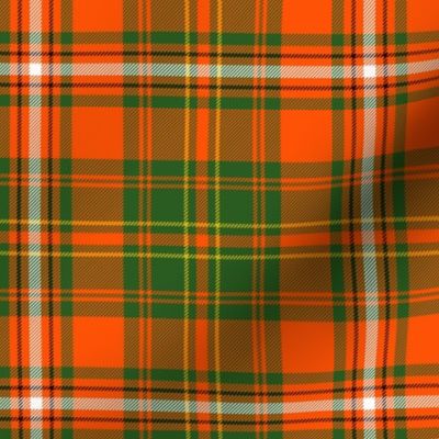 Hay / Hayes tartan, 6" ancient