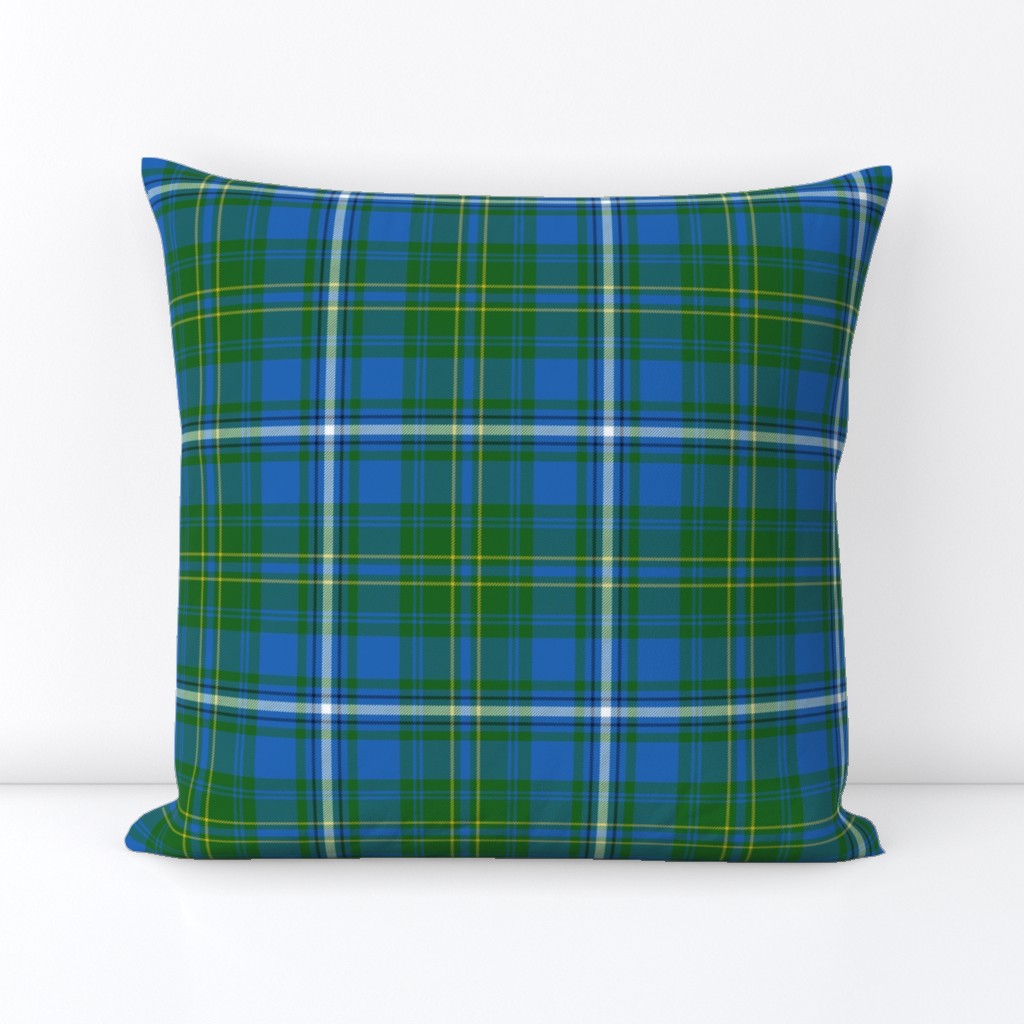 Hay / Hayes hunting tartan, 6" bright