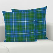 Hay / Hayes hunting tartan, 6" bright