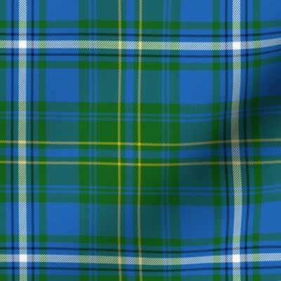 Hay / Hayes hunting tartan, 6" bright