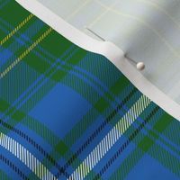 Hay / Hayes hunting tartan, 6" bright