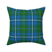 Hay / Hayes hunting tartan, 6" bright