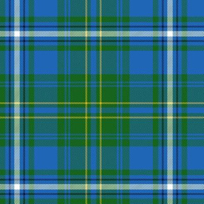 Hay / Hayes hunting tartan, 6" bright