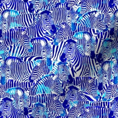 Zebra Stripes in Blue - SMALL