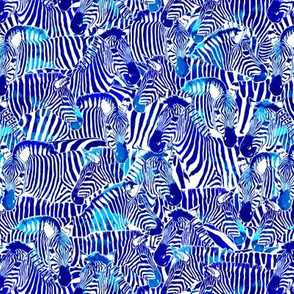 Zebra Stripes in Blue - SMALL