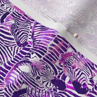 Zebra Stripes in Red Violet - SMALL