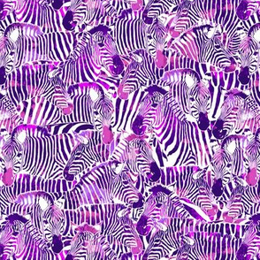 Zebra Stripes in Red Violet - SMALL