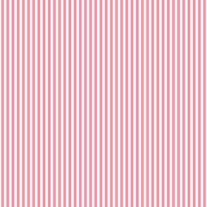 pretty pink vertical pinstripes