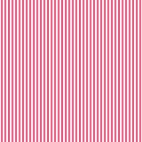 hot pink vertical pinstripes