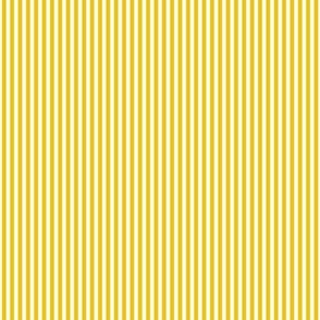 mustard yellow vertical pinstripes