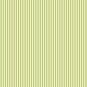 lime green vertical pinstripes