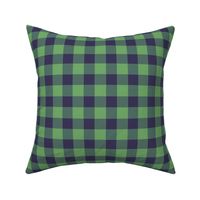 Blue and Green Gingham