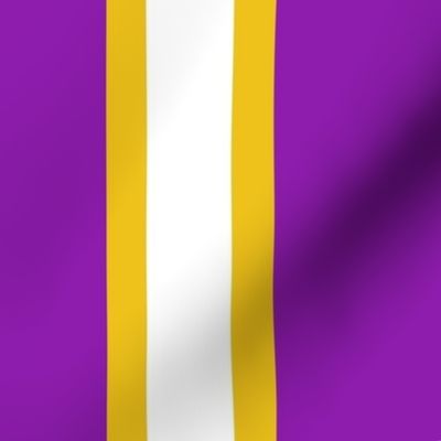 Suffragette Stripes - American - Purple and Gold