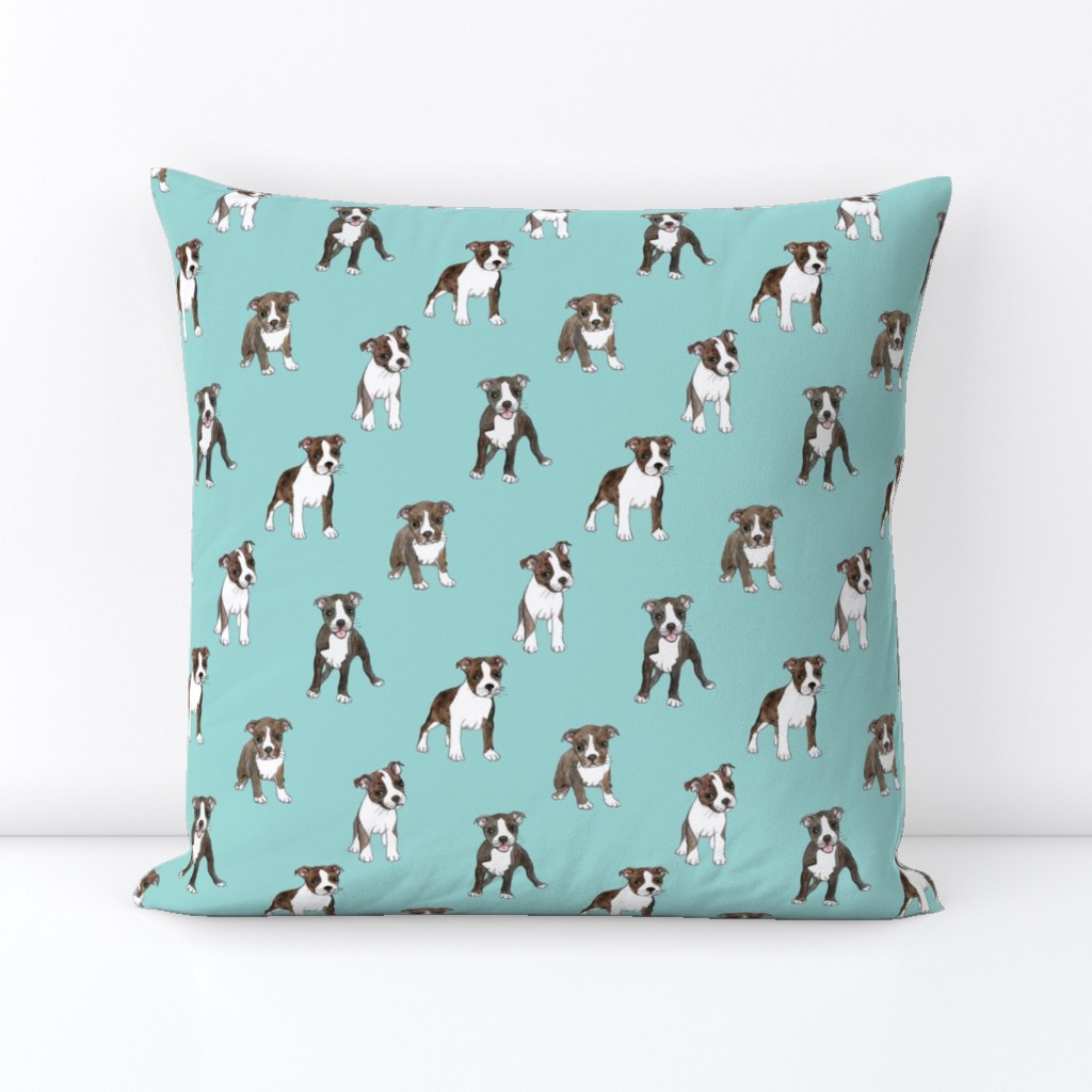 Lots of Little Boston Terrier Puppies on teal