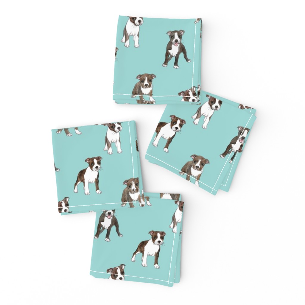 Lots of Little Boston Terrier Puppies on teal