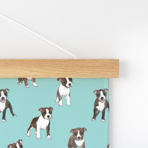 Lots of Little Boston Terrier Puppies on teal