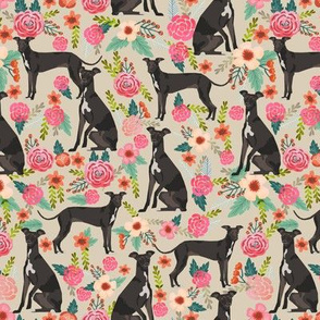 italian greyhound florals fabric best dogs and flowers design - tan