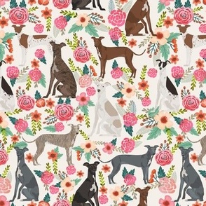 italian greyhound florals fabric best dogs and flowers design - off-white