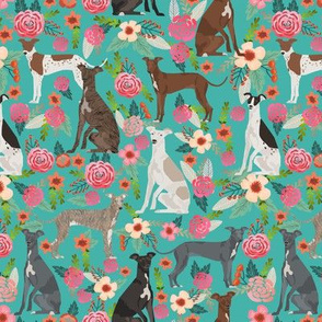 italian greyhound florals fabric best dogs and flowers design -turquoise