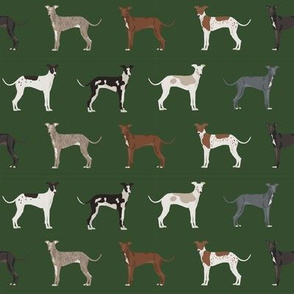 italian greyhound fabric - cute dogs coat colors and markings dog fabric design