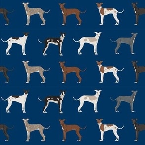 italian greyhound fabric - cute dogs coat colors and markings dog fabric design