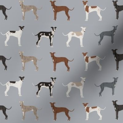 italian greyhound fabric - cute dogs coat colors and markings dog fabric design