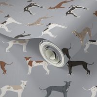 italian greyhound fabric - cute dogs coat colors and markings dog fabric design